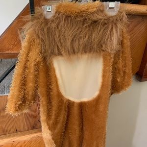 Lion Costume!